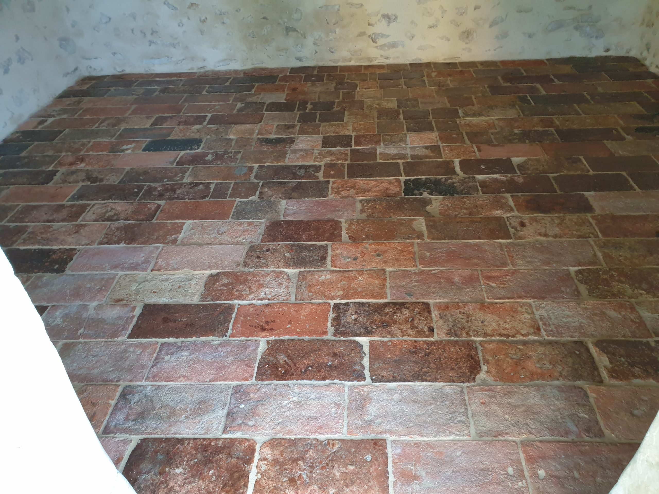 20230605 104545 scaled