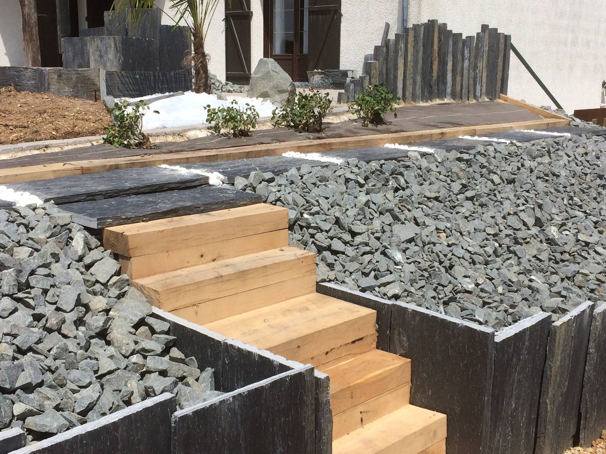 53456094_248757002741490_6857753858953707520_o